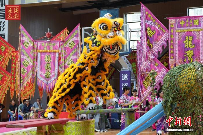 遂溪县承办2025年广东省龙