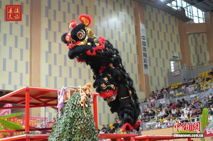 遂溪县承办2025年广东省龙狮锦标赛，45支队伍云
